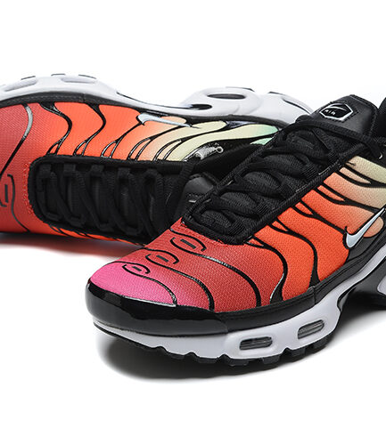 Air Max TN Rainbow
