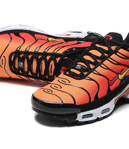 Air Max TN Tiger