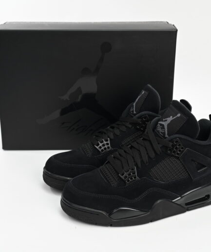 Air Jordan 4 Black Cat