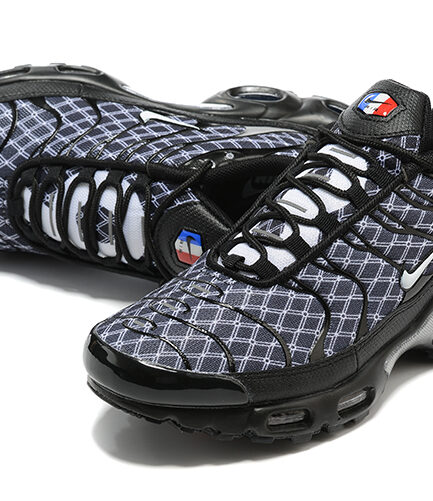Air Max TN France